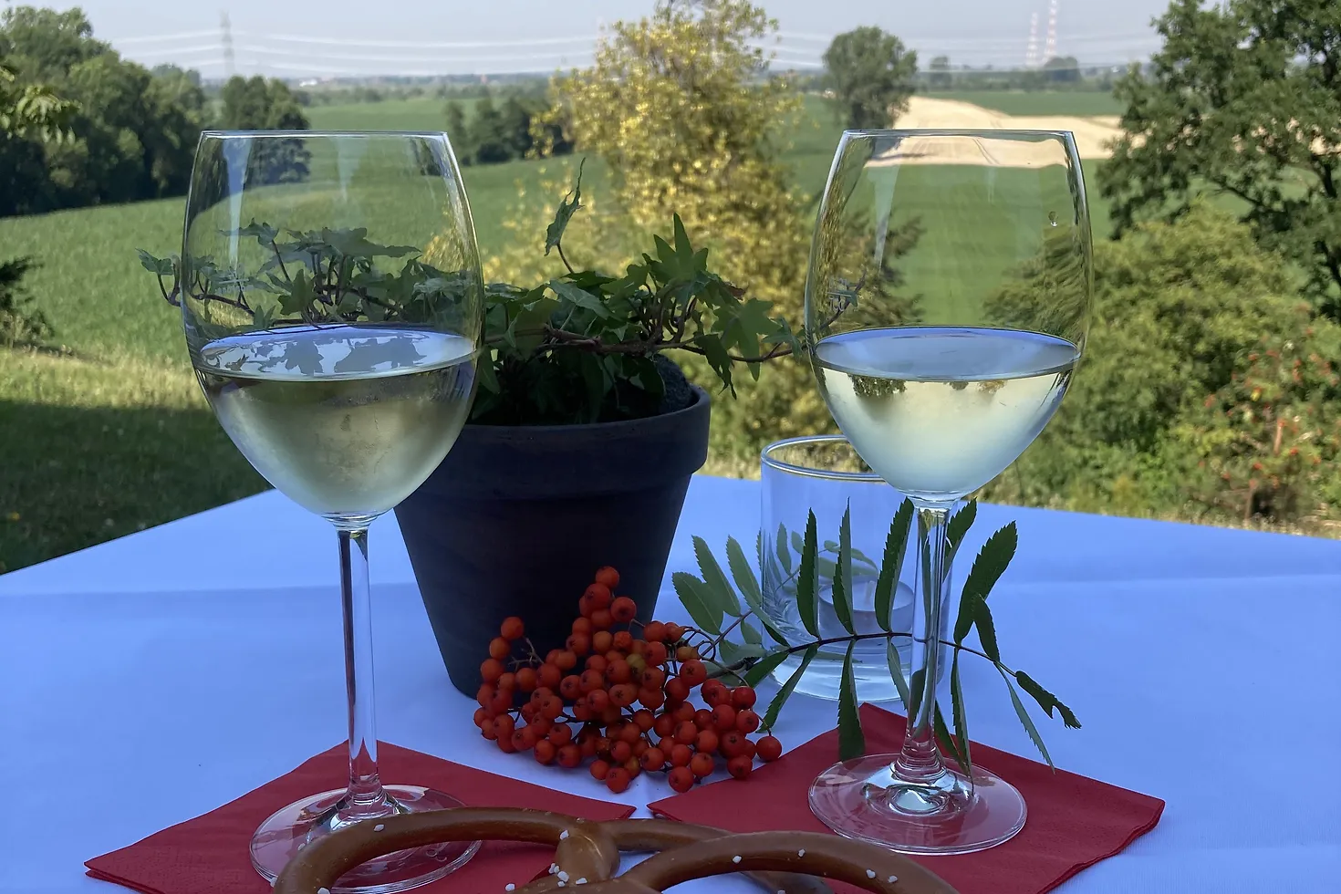 Stillleben mit Weingläsern