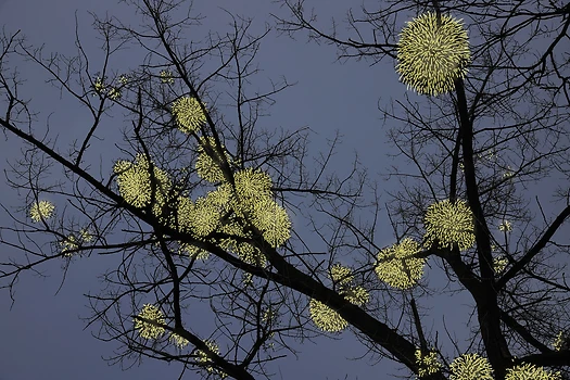 Lesung "Lichter"