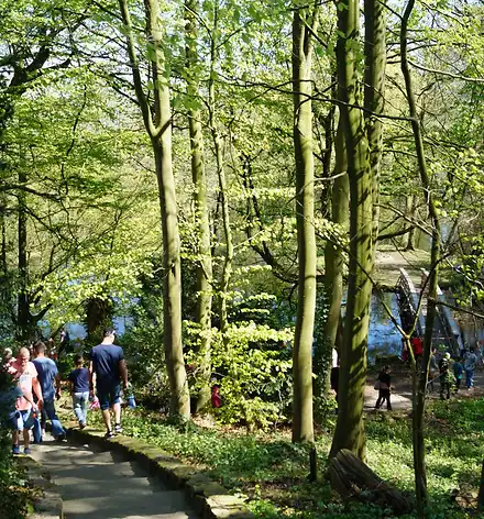 Besucher*innen im Schlosspark