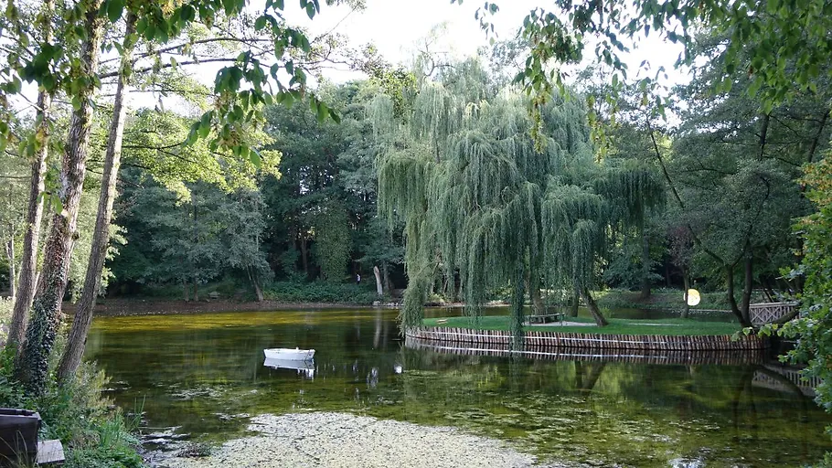 Insel im Schlossteich