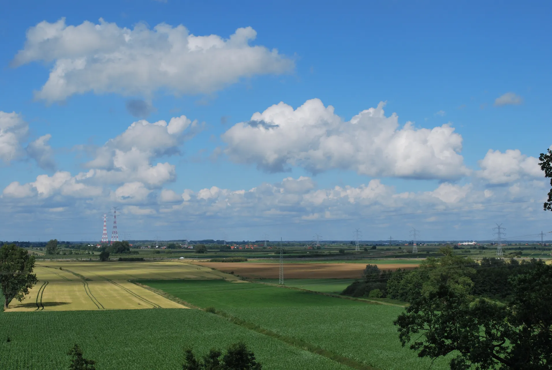 Elbblick