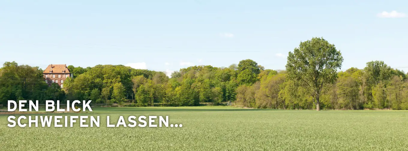 Den Blick schweifen lassen…