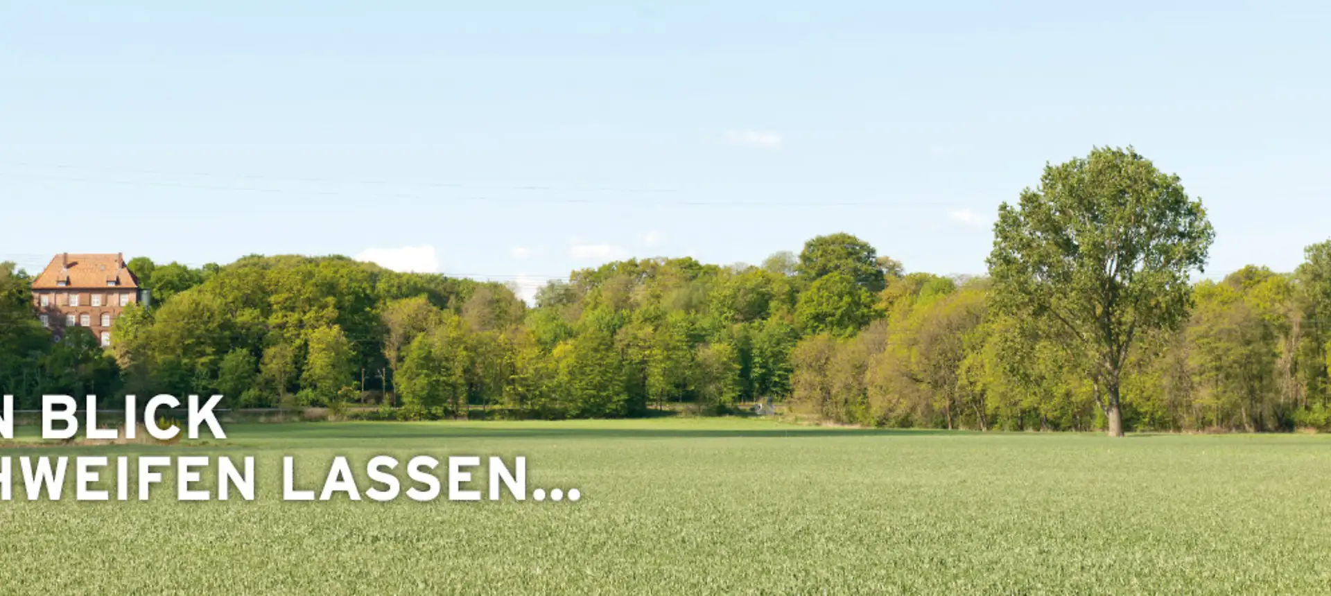 Den Blick schweifen lassen…