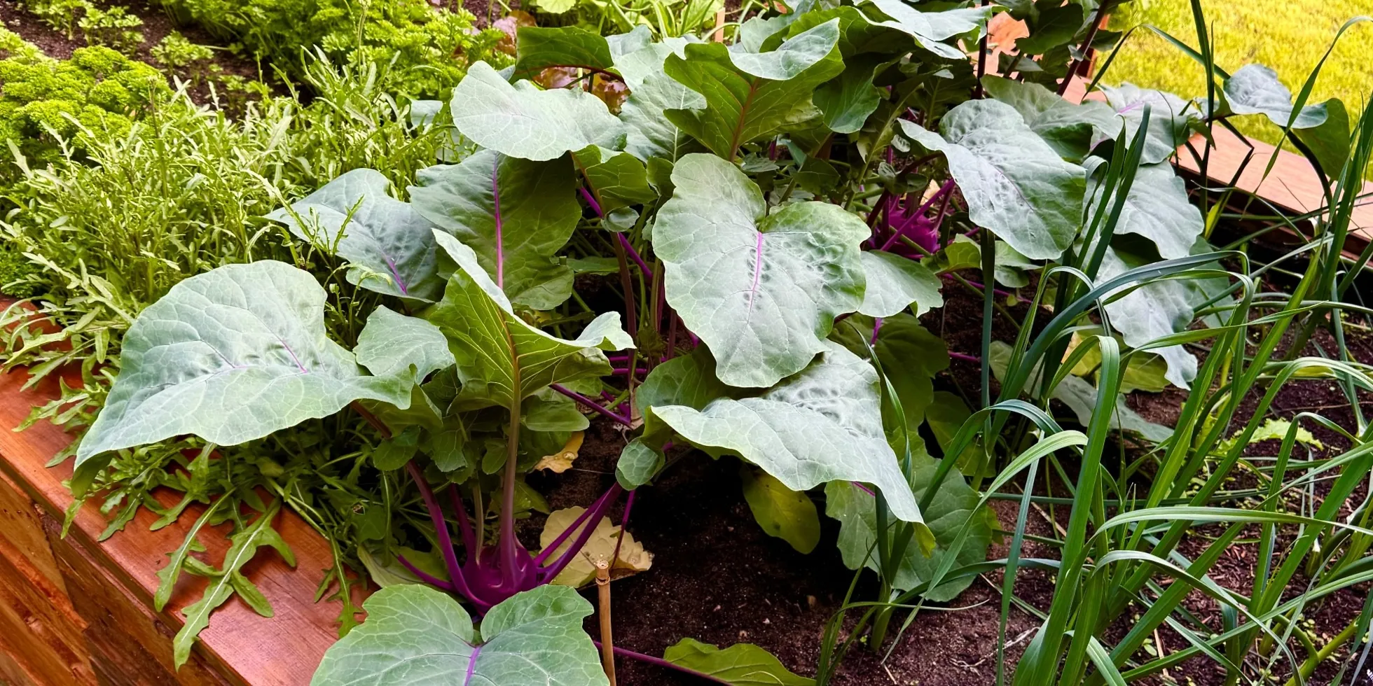 Klimafester Garten
