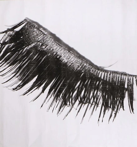 DIE AUGEN DES SCHLOSSES Künstliche Wimpern