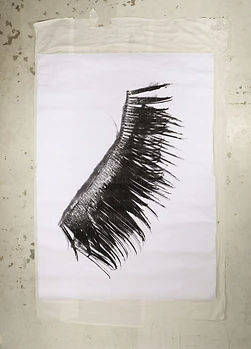 DIE AUGEN DES SCHLOSSES