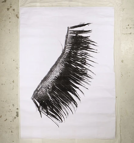 DIE AUGEN DES SCHLOSSES Künstliche Wimpern