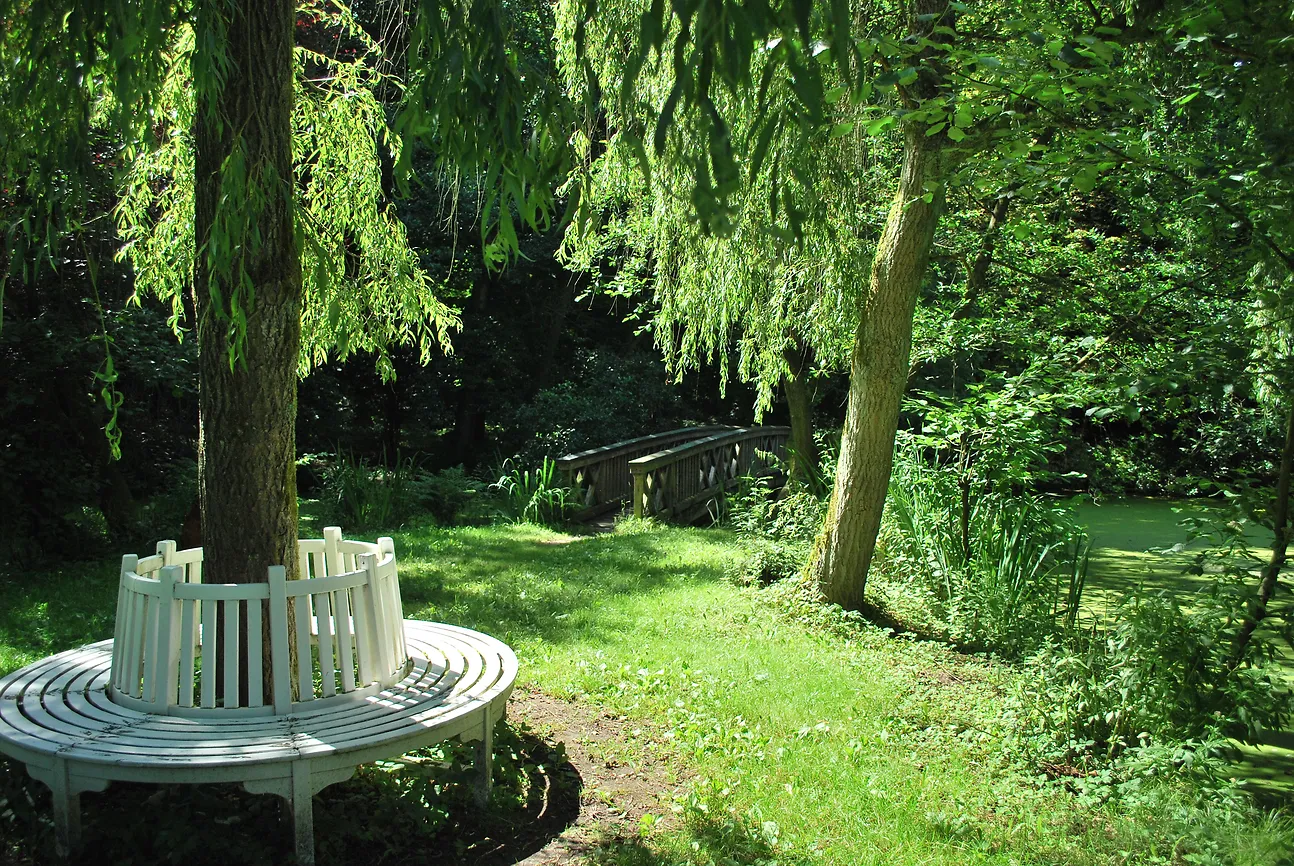 Die Insel im Schlossteich
