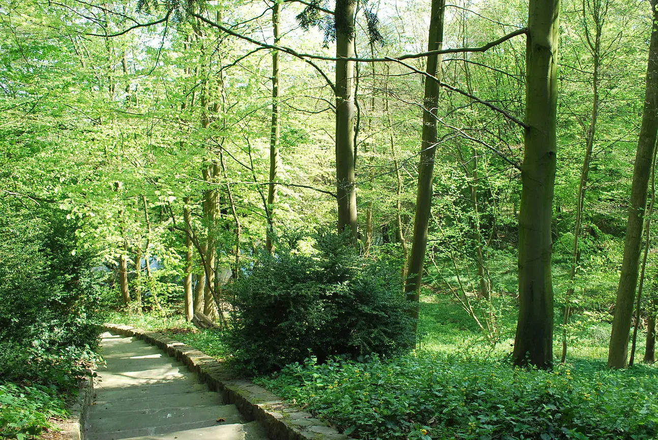 Die Treppe ins Grüne