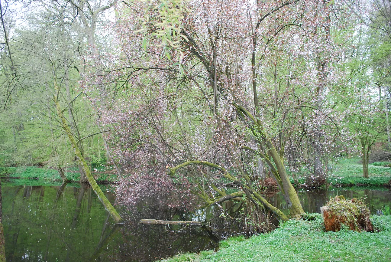 Frühling im Schlosspark