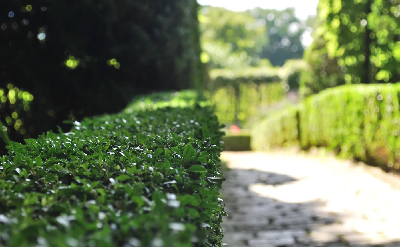 Der Weg in den Rosengarten