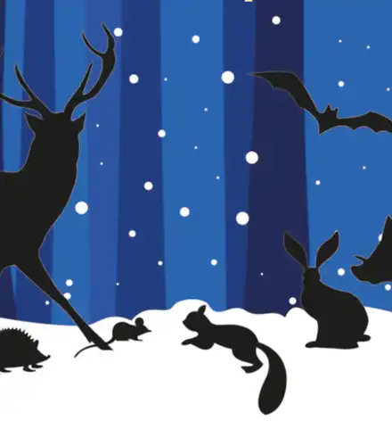 Silhouetten von Tieren vor einem Winterwald