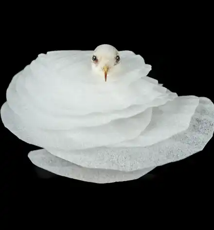 Kuratorinnenführung Ein Vogelkopf schaut aus Schichten von weißem Plastik heraus.